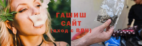 стаф Белокуриха