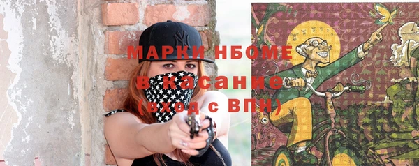 кокс Богородицк