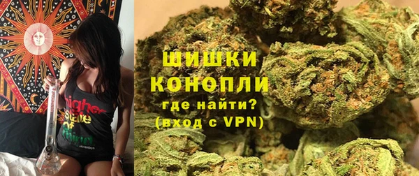 кокс Богородицк