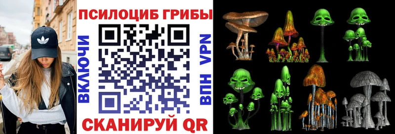 Псилоцибиновые грибы Psilocybine cubensis  даркнет сайт  Онега 